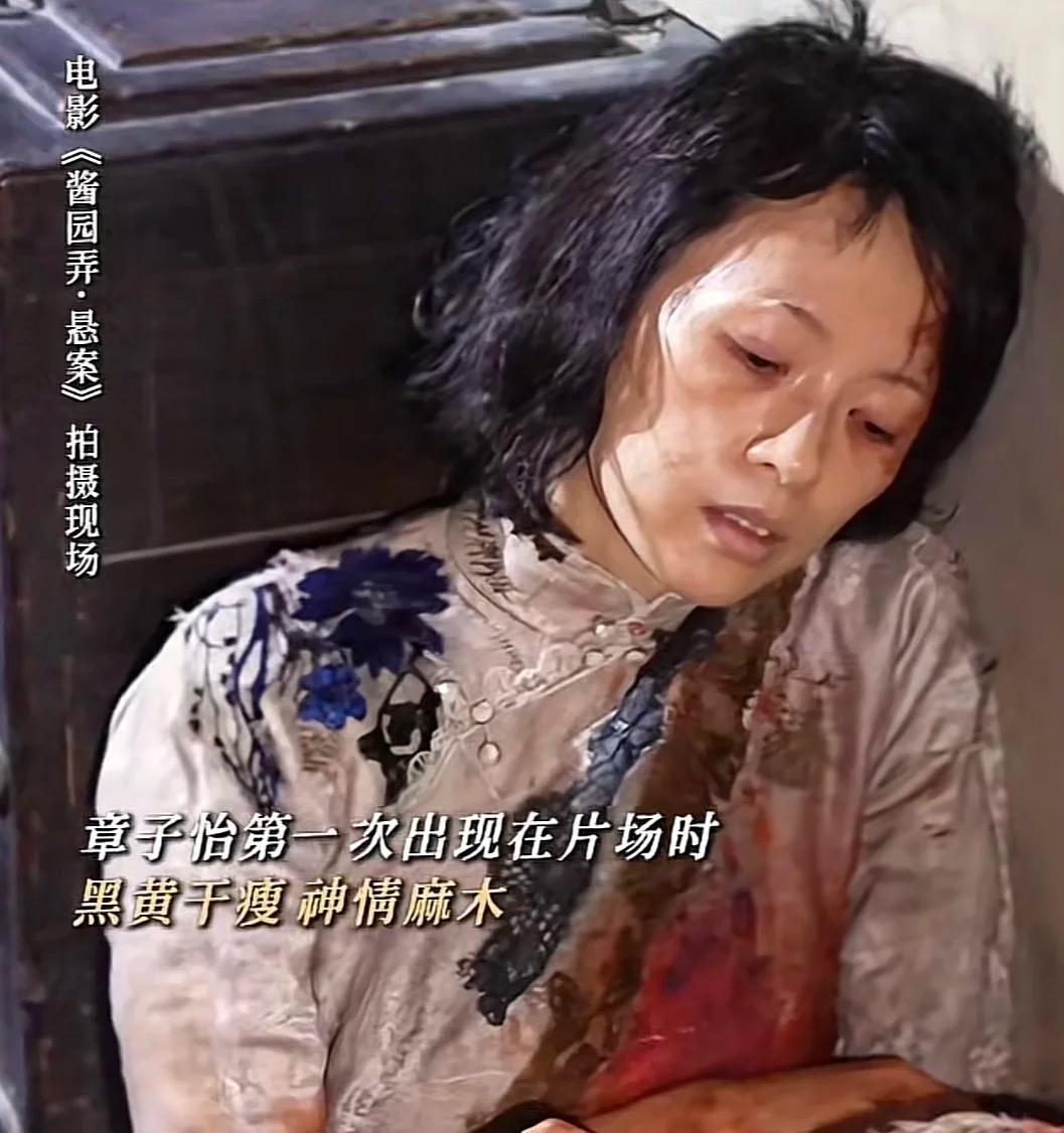 章子怡这次能靠《酱园案》再次翻身么？看这造型，感觉她真的拼了。但有人说，章子怡已