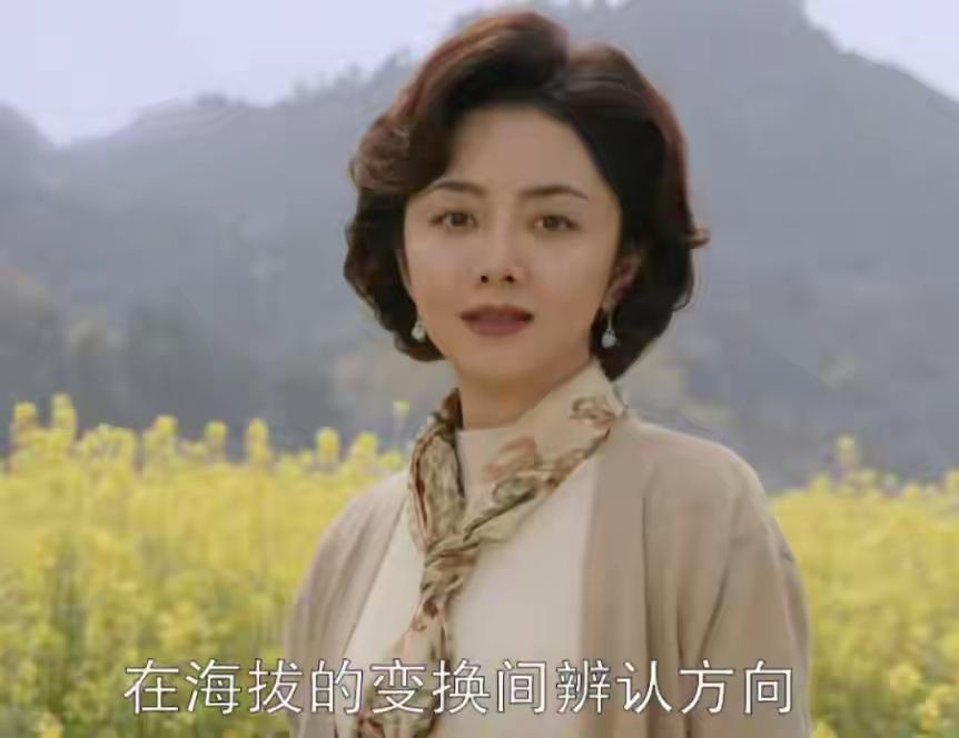 《我的山与海》大结局：从山海赴山海，这才是普通人最动人的归途《我的山与海》