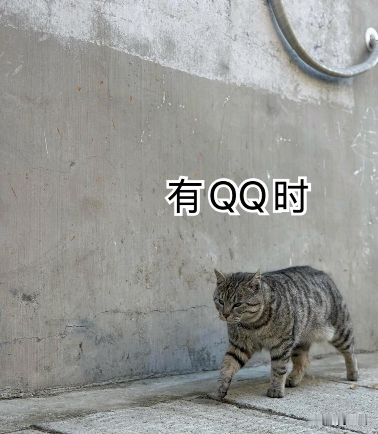 它好像知道自己经历了什么