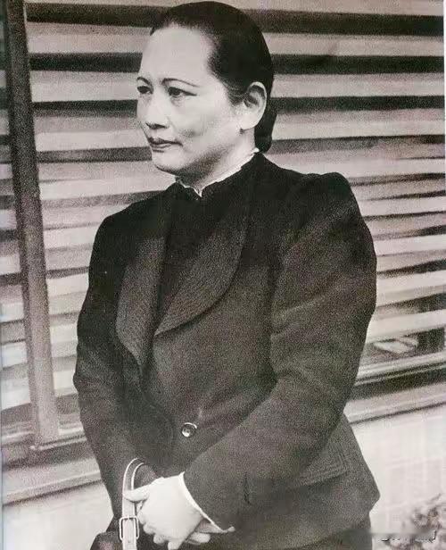 1933年，戴笠准备刺杀宋庆龄，并且制定了天衣无缝的暗杀计划，可就在这时，蒋介石