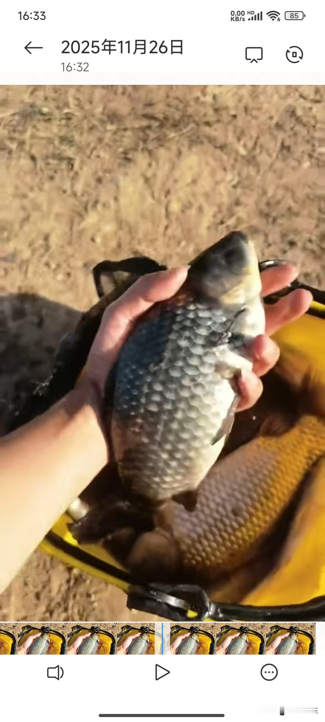 一个钓点钓得没人去了，就是我最喜欢的位置。哪里出鱼了，只需要一个朋友圈，保证第