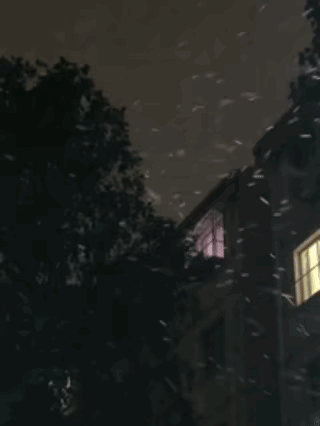 今天早晨，杭州市区下雪了！慢直播：杭州下雪啦！2026年首场寒潮来袭>>今天
