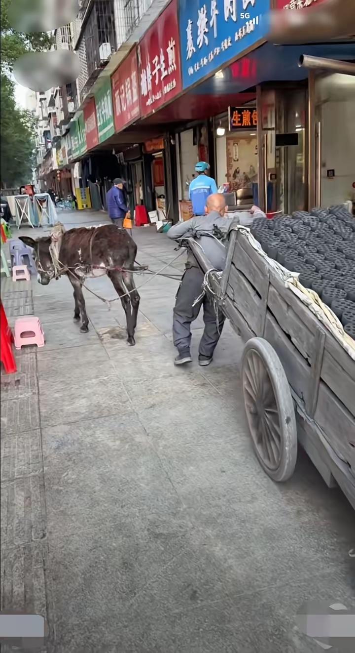 这是现代版底层人们的写照，《卖炭翁》伐薪烧炭南山中。满面尘灰烟火色，两鬓苍苍十指