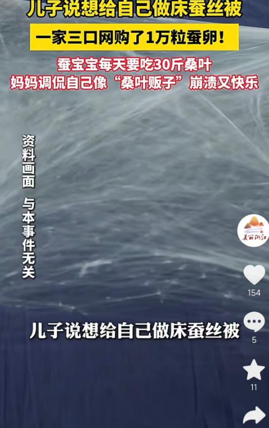 5月19日报道，武汉一位妈妈的儿子想亲手做床蚕丝被，家人便网购1万粒蚕卵，加上之