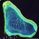 黄岩岛内部<em>泻湖</em>提沙方案被否决，原因在于内部未来也要吹沙造陆，以增加岛屿陆地面积，