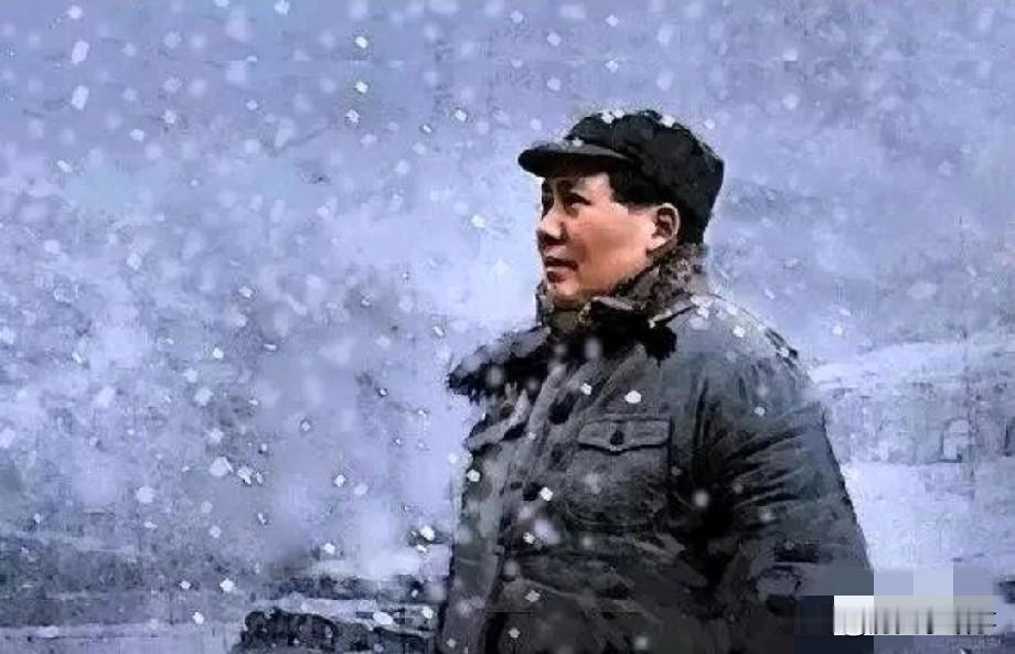 一位外国学者这样说：毛主席时代的很多政策，要是按照短期利润和个人消费为尺度，或许