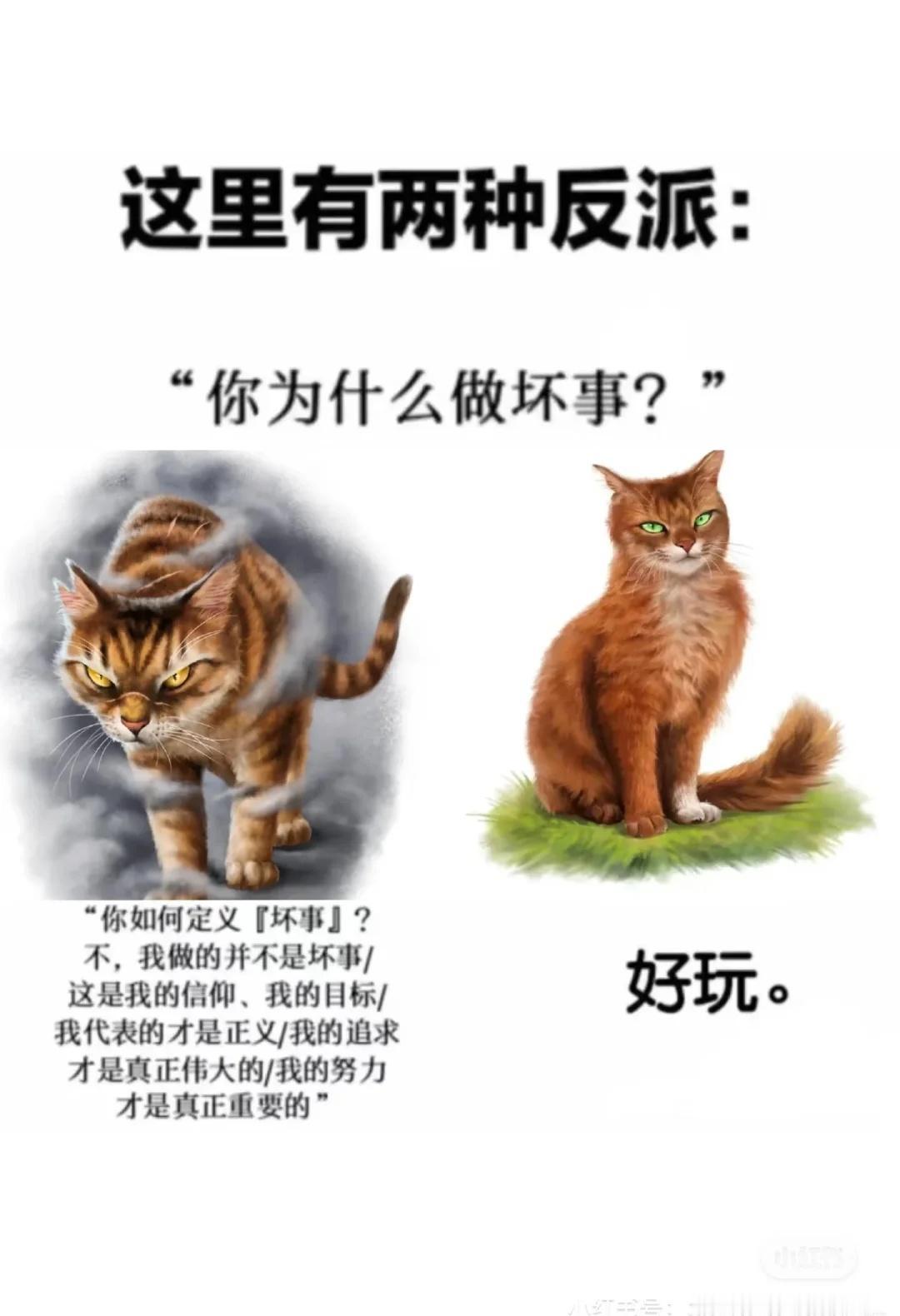 搞笑图片૮˙Ⱉ˙ა搞笑猫武士梗图