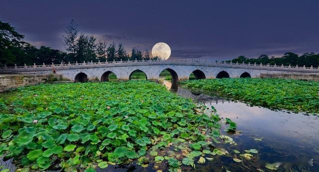 不要对任何人无条件付出，包括你的兄弟姐妹，一贱破九贵