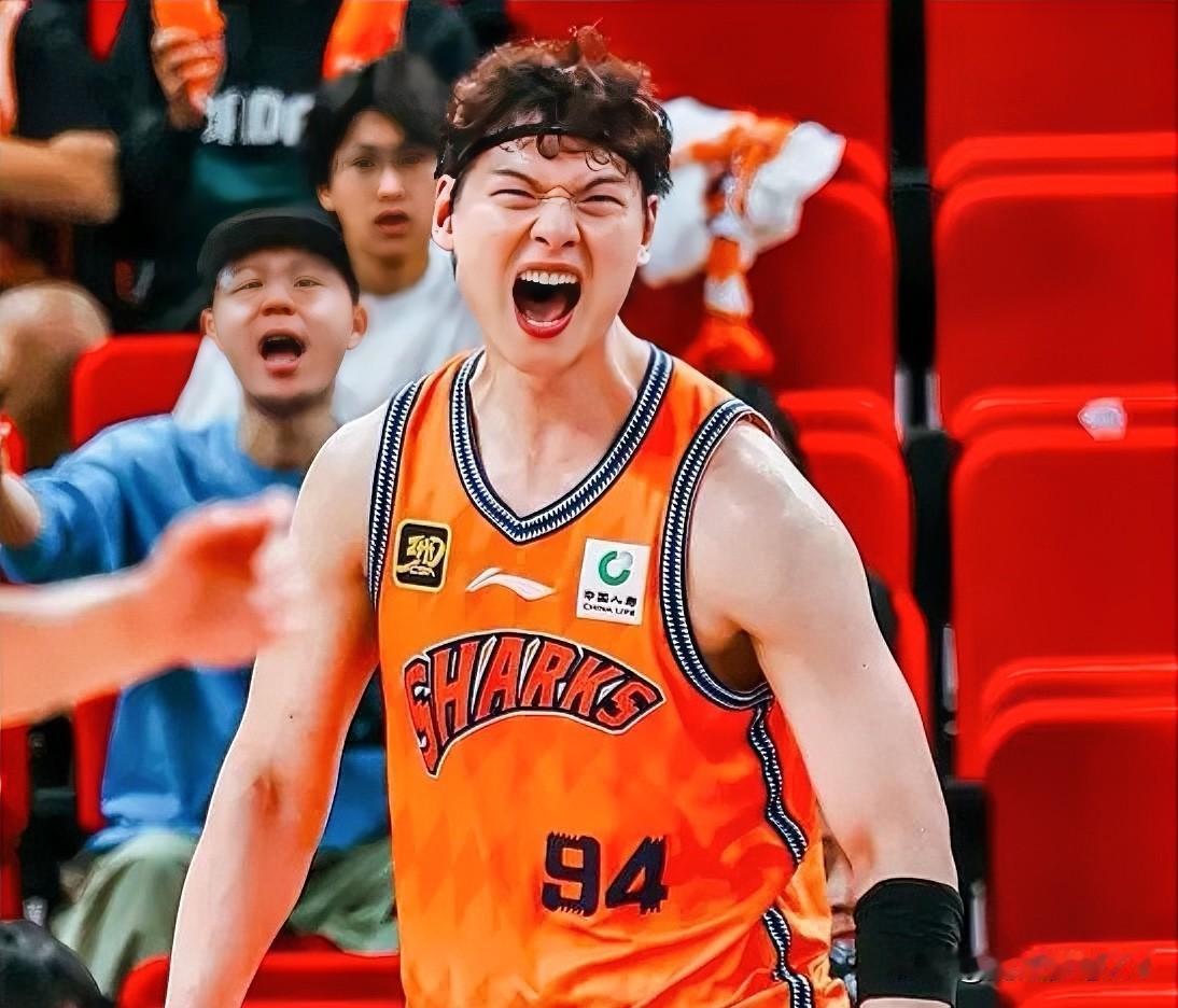 刚刚特意去查了一下王哲林，不查不知道，查了才明白，我发现32岁的王哲林远比我