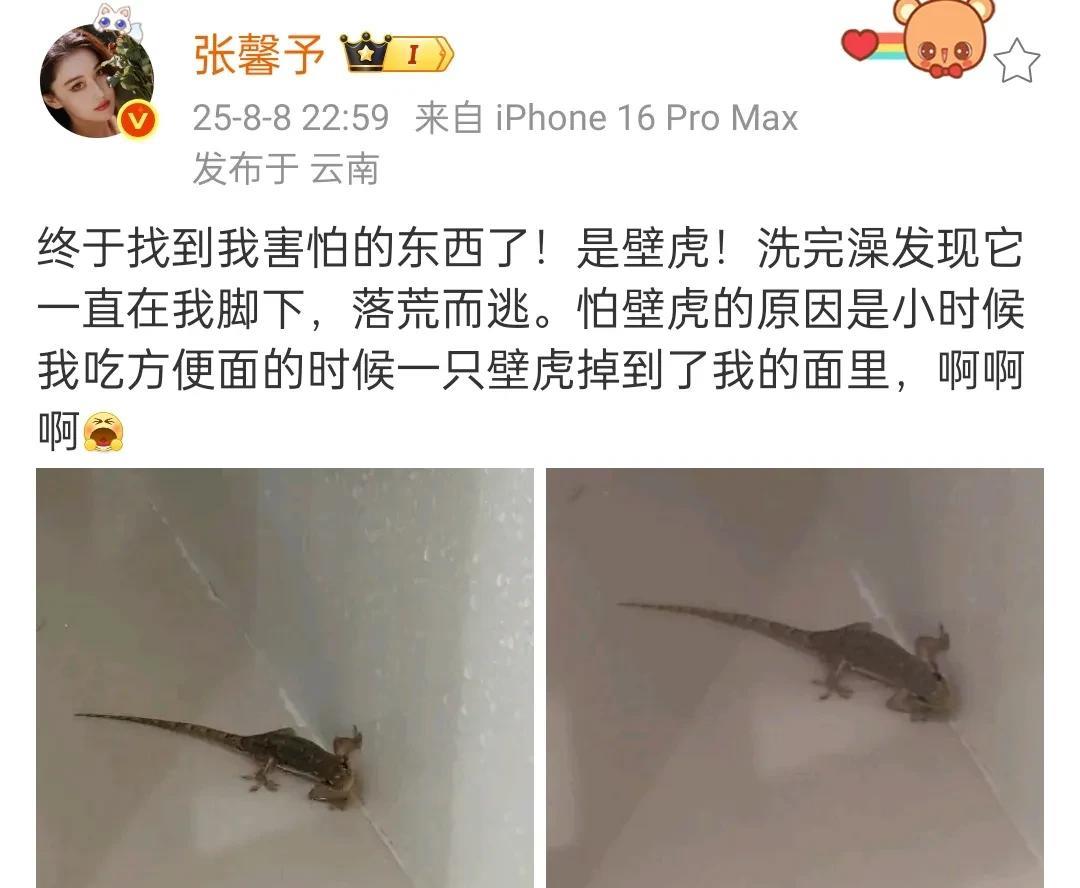 张馨予，真是让人弄不懂。她可以用手抓蛇，可以把守宫放在胸前，感觉可以和一切爬行