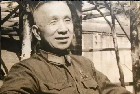 1984年，开国大将粟裕去世，妻子楚青按照他的遗愿，首先来到了南京。不曾想，在南