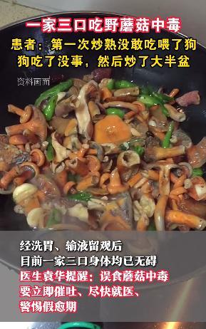 “胆子真大！”四川遂宁，男子去地里种药材时，发现了一些野生蘑菇，他采了一些回家，