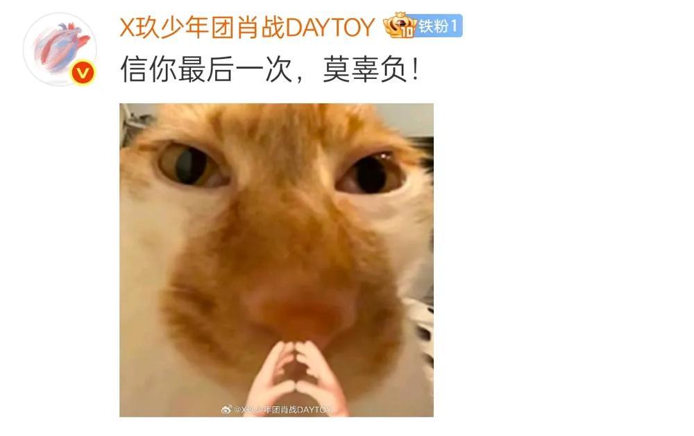 肖战在庄二评论区那句“信你最后一次，莫辜负”简直把恨铁不成钢的老父亲心态拿捏到位