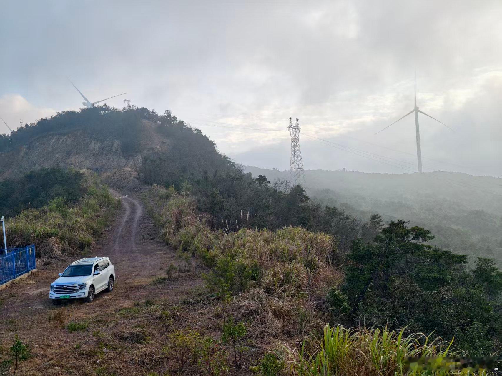 最近一直在出差，好久没开坦克500了。翻相册才发现甚是想念。也不知道有没有流浪猫