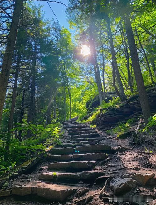 友友浪漫的词句，丰富的想像能力，把阳光穿透树木照在青石板景象描述的得惟妙惟肖，同