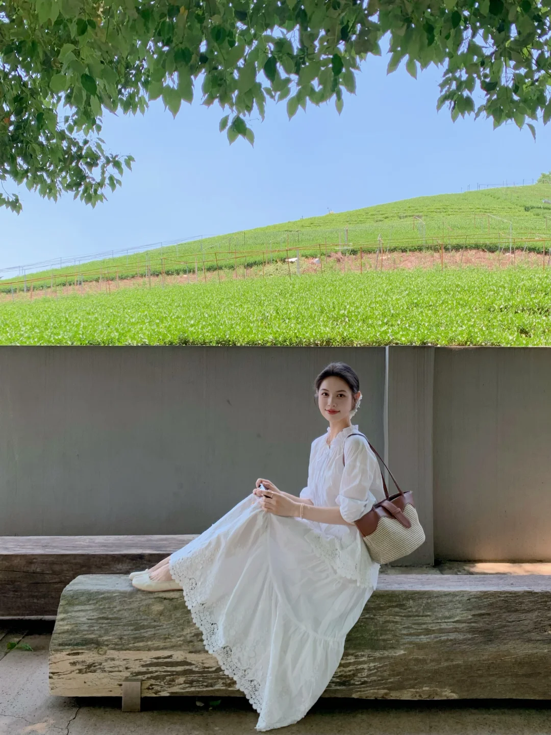 绿意里走走🌱