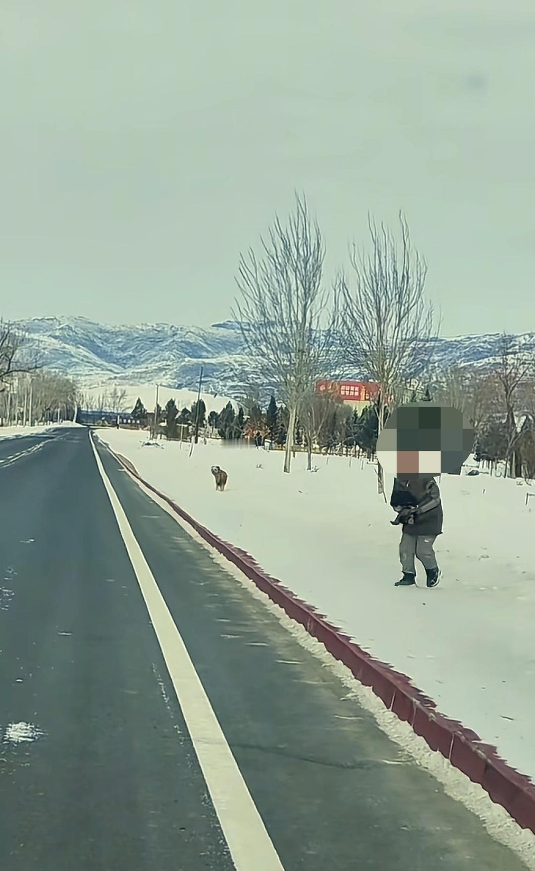 “太有灵性了！”新疆，女子开车带着孙子出来看雪，车刚停下，就看到远处跑来一大一小