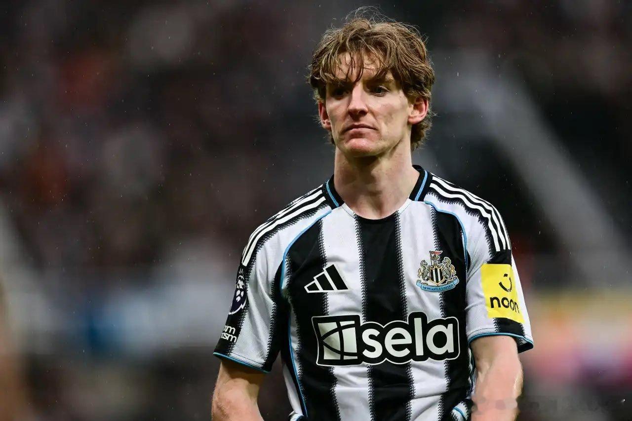 拜仁准备加快对戈登的追逐。戈登已经就拜仁这家俱乐部与凯恩进行过交流。纽卡斯尔愿意