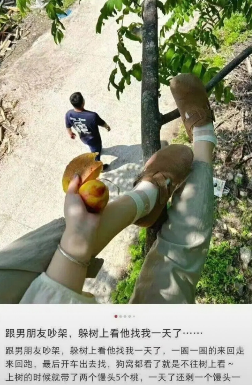 哈哈哈，算你狠