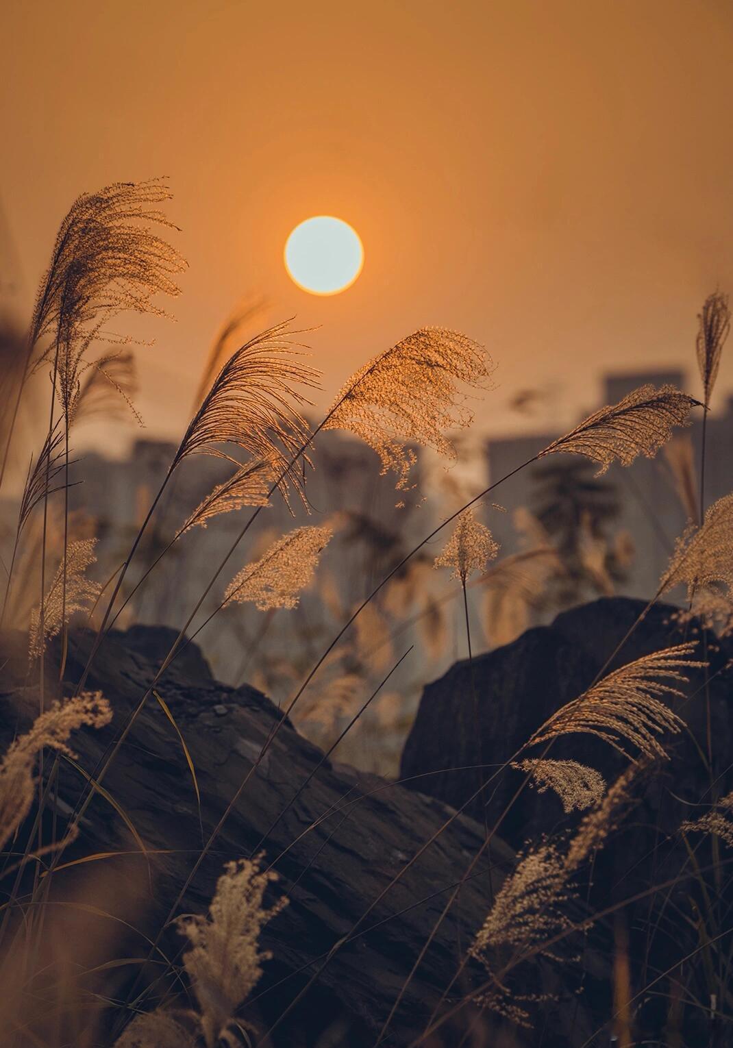 生活中总有这样两种人:一种天生擅长交际，说话做事滴水不漏，走到哪儿都讨人喜欢。另