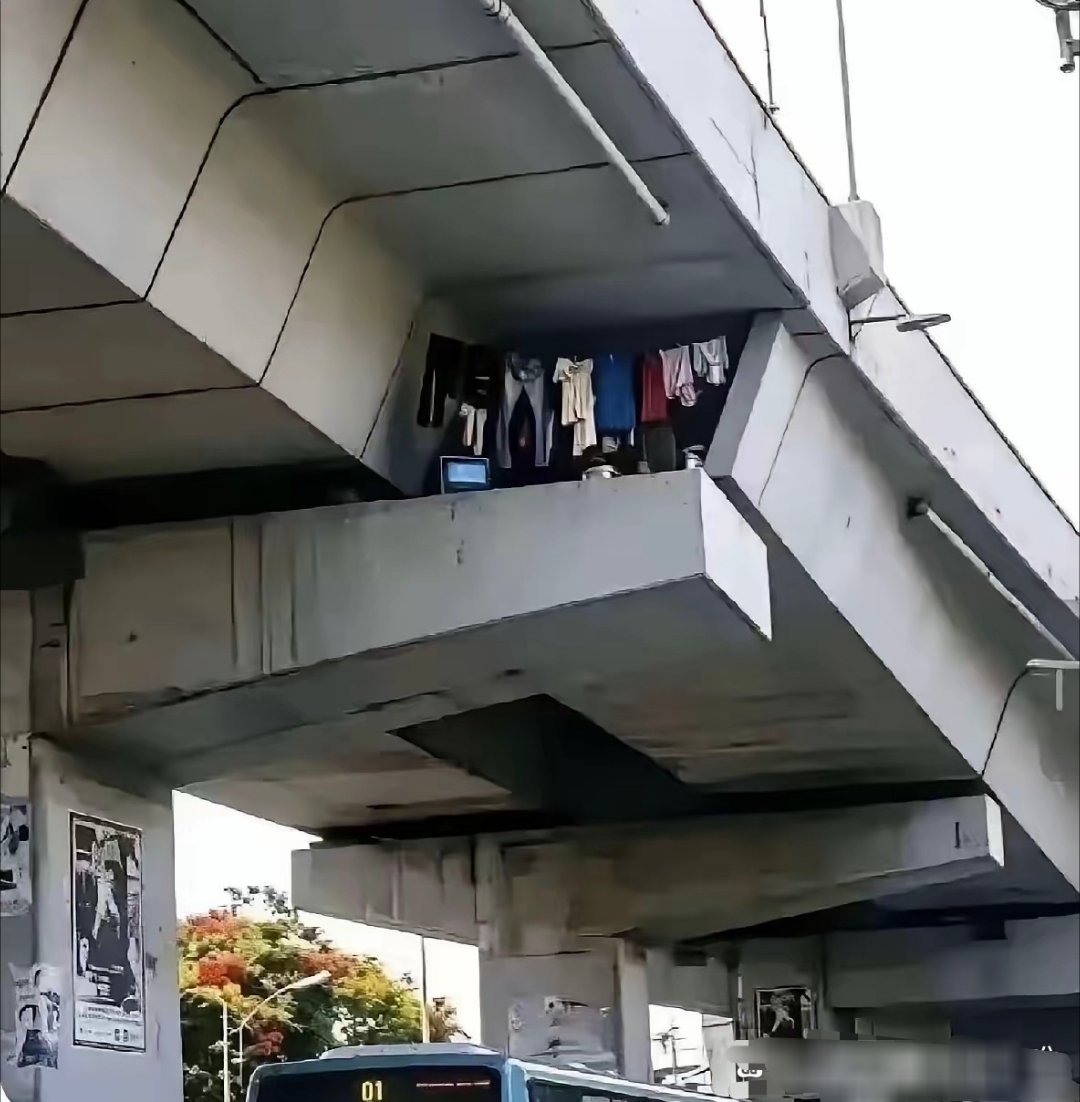 这下好了，房子都不用买了