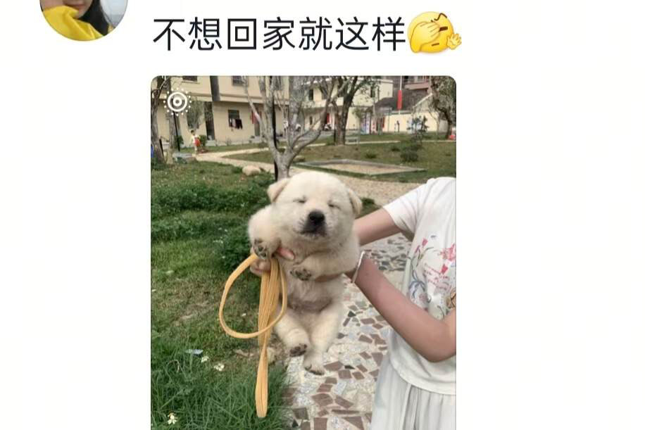 我家的小萌宠好可爱好可爱好可爱，这个世界不能没有小狗🥺​​​