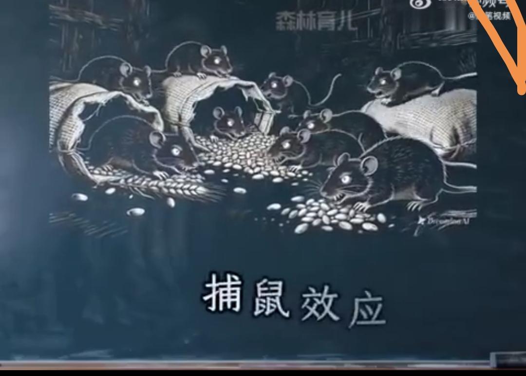 麻省理工发现断绝孩子手机上瘾最快的偏方，捕鼠效应孩子本该在课堂上踮脚看黑板，