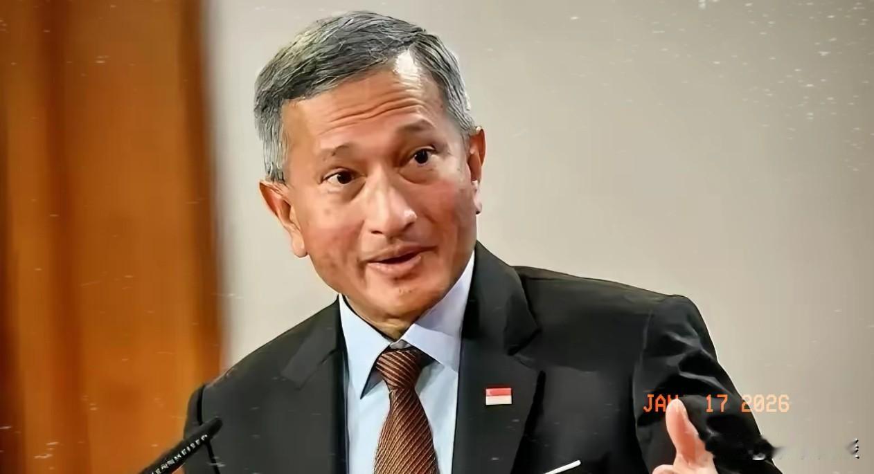 新加坡外长维文最近跳出来指手画脚对着中国和印尼一顿乱指责说咱们不该跟印尼一起