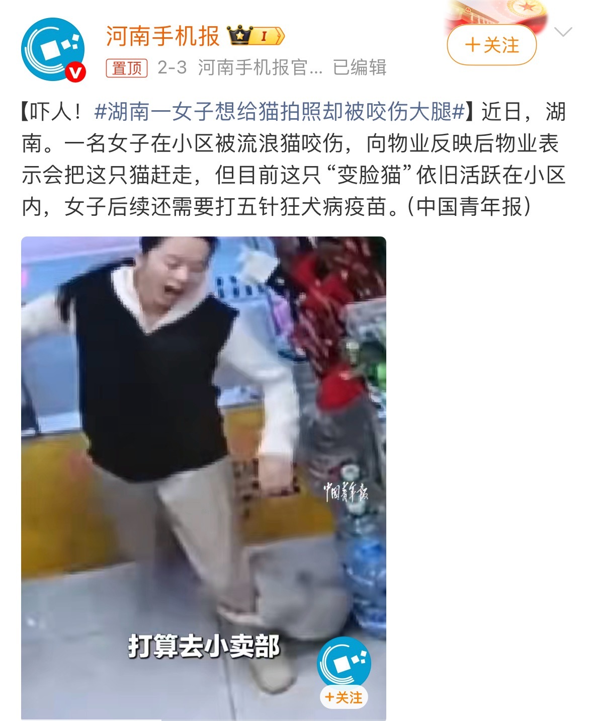 动保笑话一女子想给猫拍照却被咬伤大腿