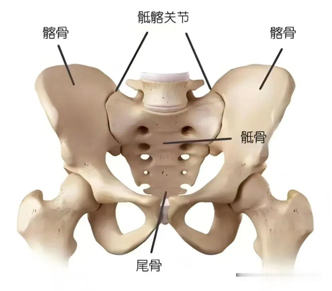 练了三年太极，才知道"裆"不是你想的那样头一回听师傅说"裆要开"，我下意识夹