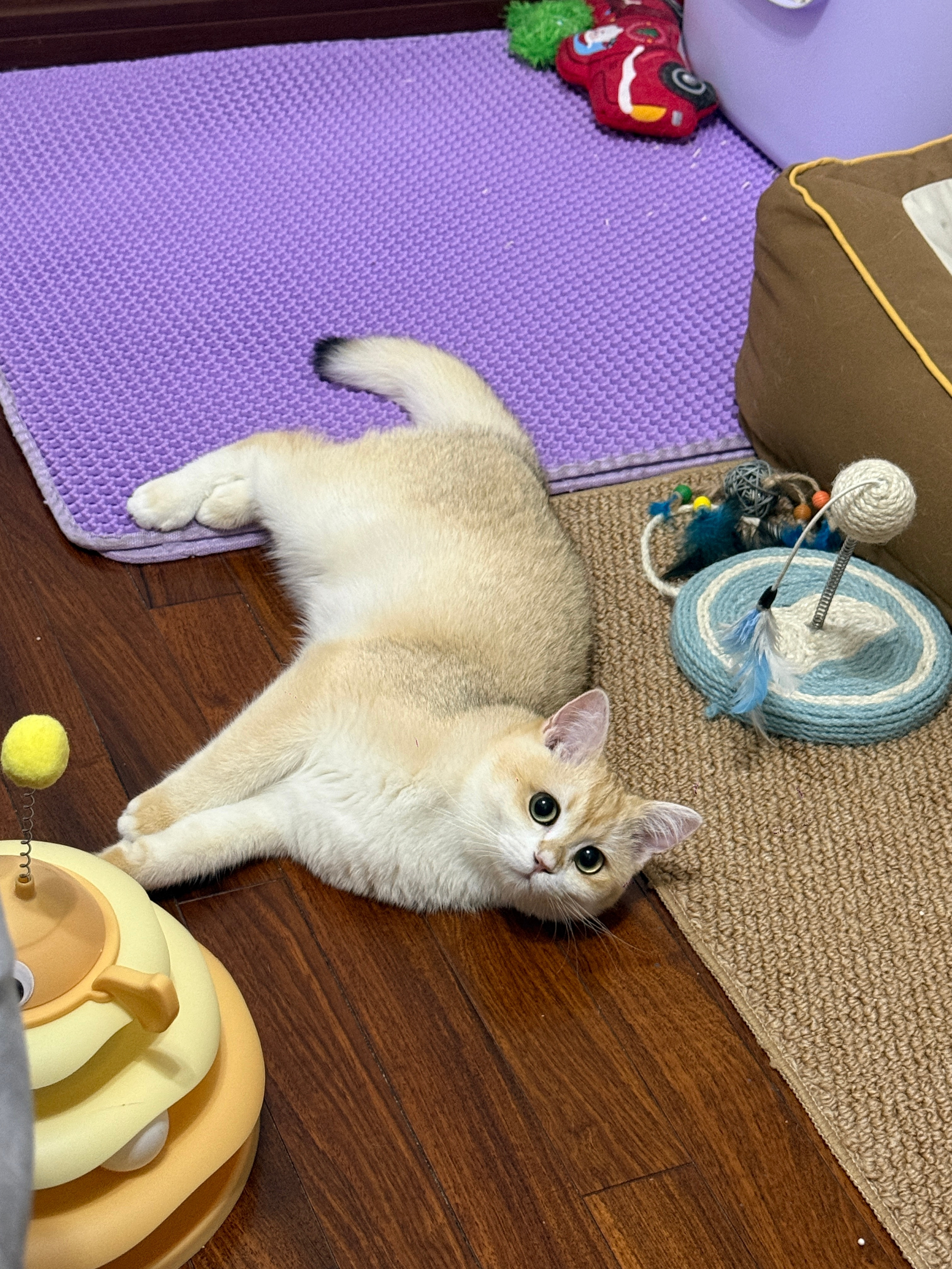 小胖子