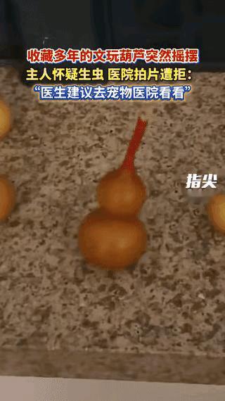 “彻底解释不清了！”沈阳大哥带文玩葫芦去医院拍片的事儿，看完我直接笑喷了！谁