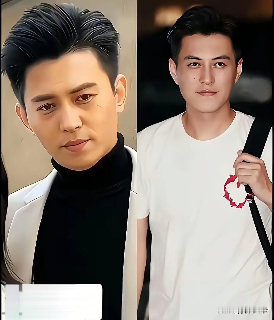 见过无数模仿秀，大多形似而神不似。然而靳东的模仿者让人大吃一惊，真的是傻傻分不