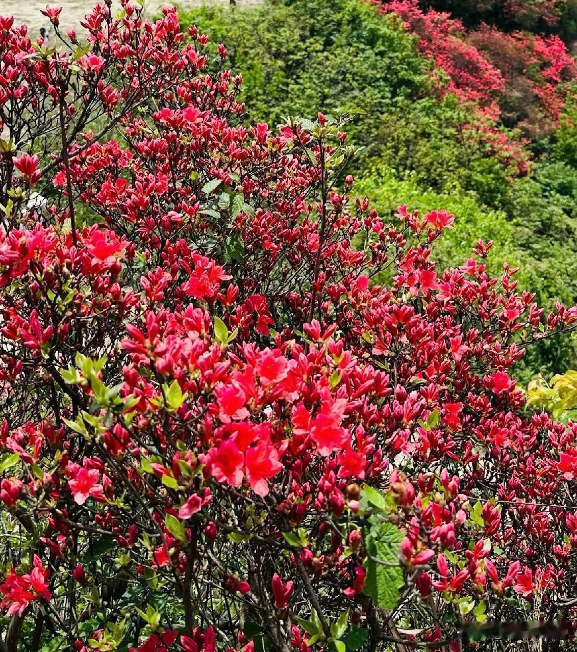 聪明的儿媳，从来都不会跟婆婆争输赢，看透不说透才是大智慧婆媳关系，是很多家庭
