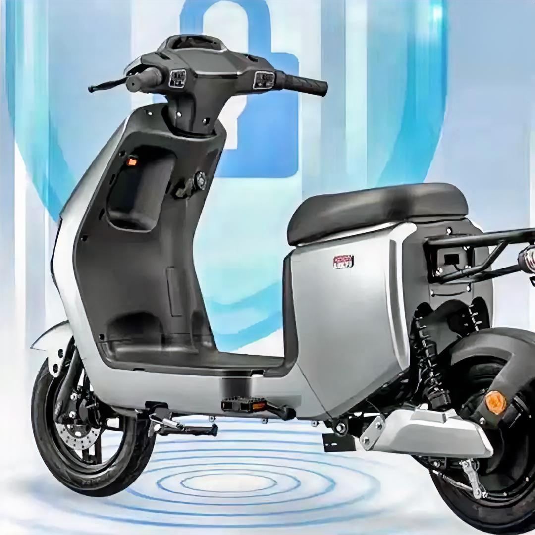 史上最贵、最丑电动自行车来了，我估计电动自行车要倒闭一批，新国标电动自行车逐渐亮