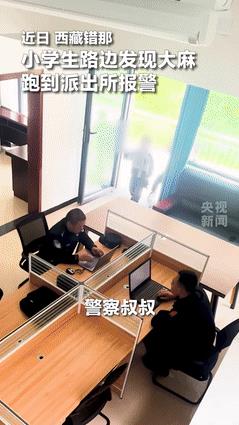 “活的还不如小学生！”西藏，3名小学生在路边发现大麻，第一时间跑到派出所报警！民