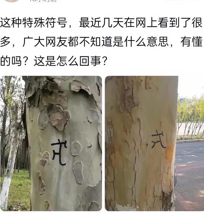 在路边的树上瞧见一些符号不知其究竟何意这是何人写下的标识？又代表着怎样的含