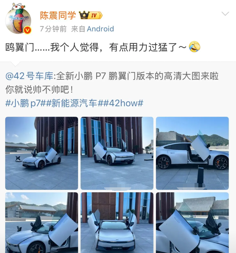 陈震:我个人觉得有点用力过猛了！就在大家对小鹏的这个门称赞不已的时候，陈
