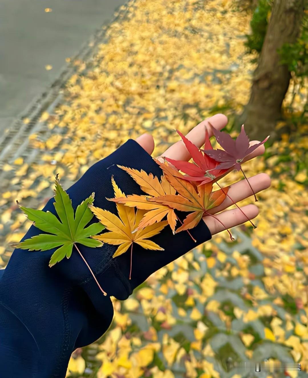 人这一辈子，能占到这三样东西，就算活得特别滋润了！人这一辈子，活得最