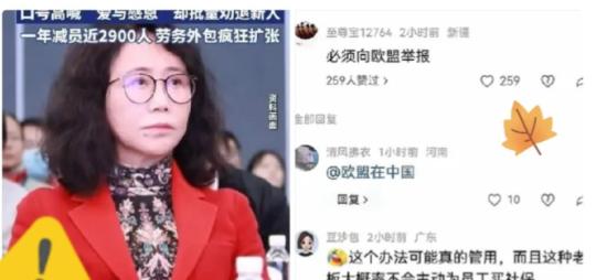 劳动局这下很尴尬！他们赌的是，应届生没力气闹到欧洲去。结果学生们直接跳过去，真把