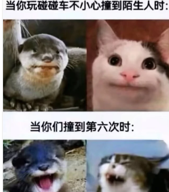 第二天在马路边睡醒的你: