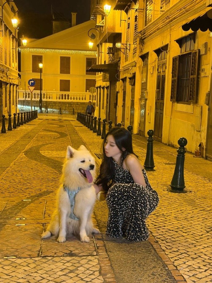 谁被王鹤润的狗狗情缘戳中了！尖叫之夜下班路偶遇萨摩耶，秒变温柔姐姐互动不停，被亲