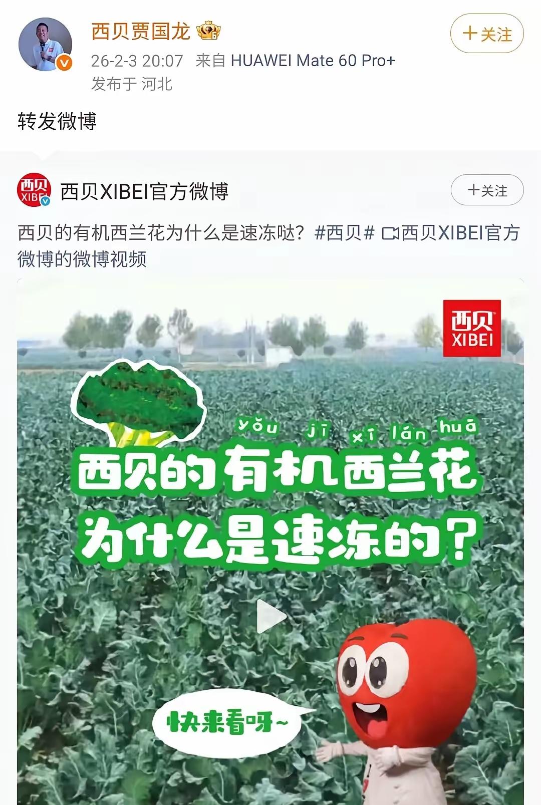 贾国龙还真是个上犟种，现在看来他当初跟罗永浩死磕，绝对不是针对罗永浩，就是反驳型