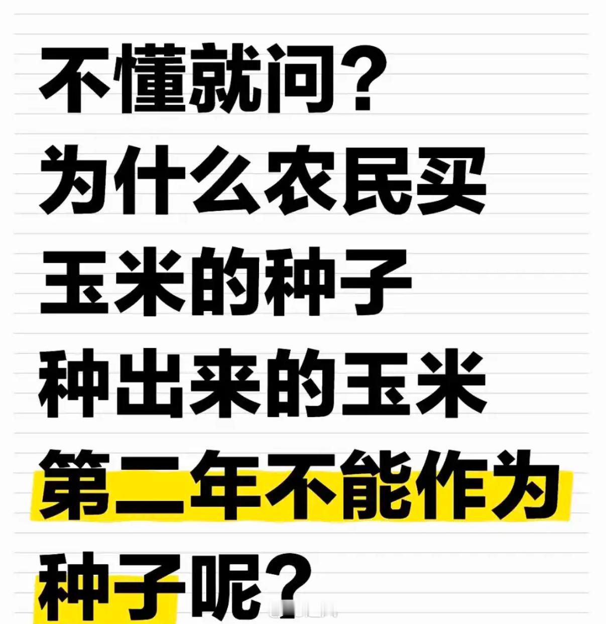 玉米种子：我“一代天骄”，后代可别“胡乱接班”！​​​