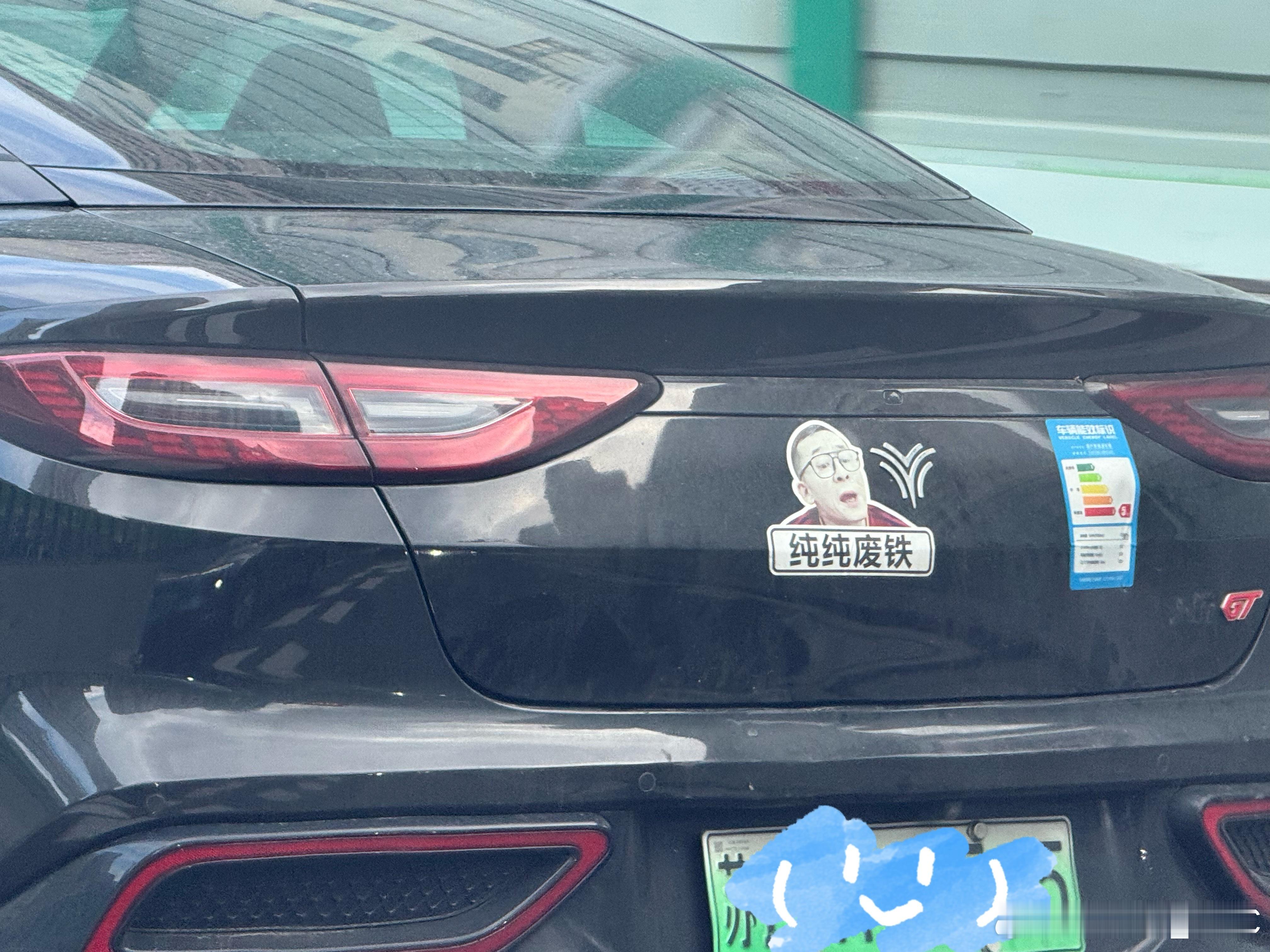 看到个哪吒车主，心态是真的蛮好的，不然怎么办呢[捂脸哭]​​​