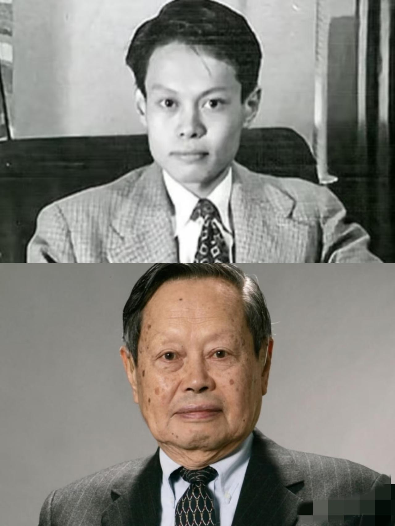 杨振宁的遗嘱一出来,很多人懂了:他不与翁帆合葬,要和父母弟弟埋在八宝山,这哪是选