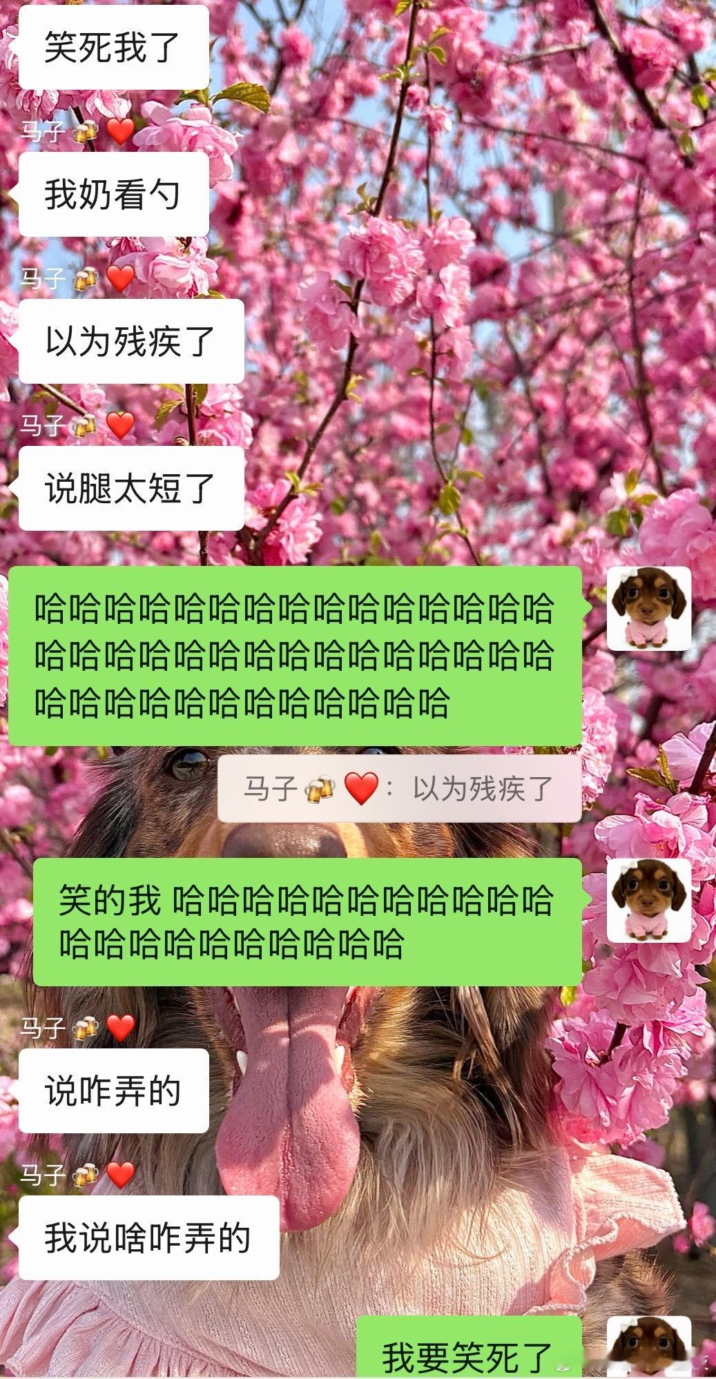 关于闺蜜给奶奶看勺照片俺笑不活了哈哈哈哈哈哈哈哈哈哈哈哈哈哈哈哈哈哈哈哈哈