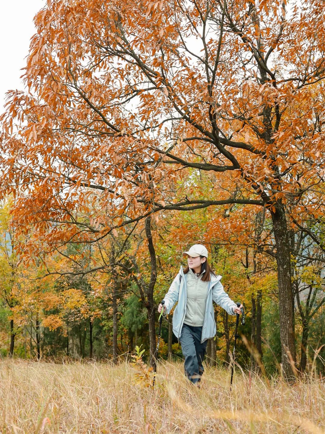 成都1h‼️走过蕞惊喜的山脊路线‼️值得N刷