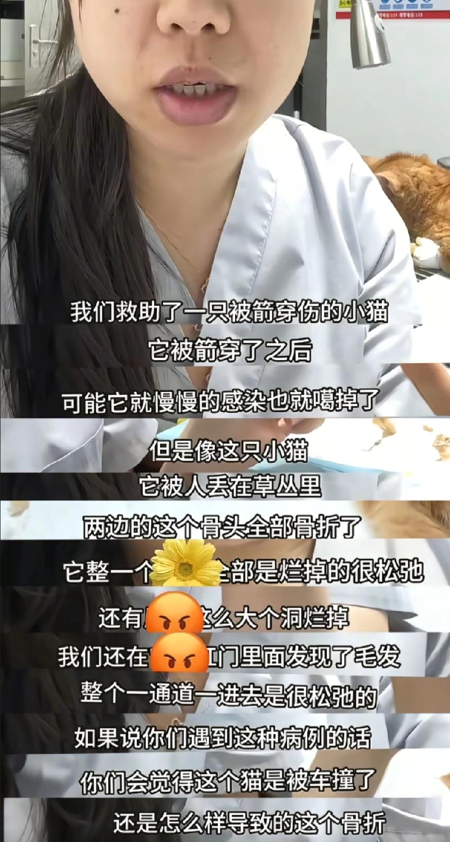 小猫被强奸也太炸裂了吧，这不是印度，居然就是我们身边发生的事情。一位好心的兽