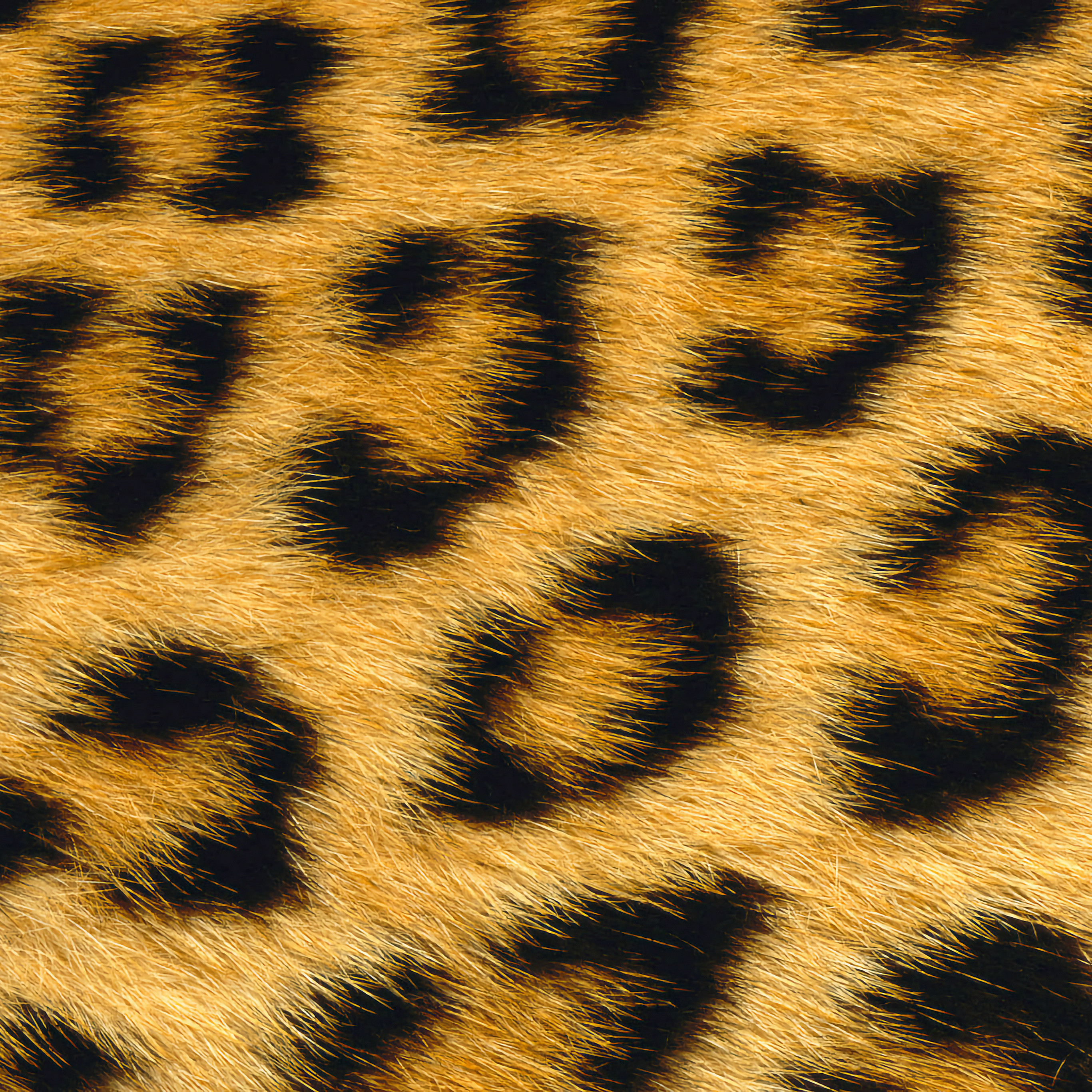 性感豹纹壁纸🐆灵感丨MacOSX10.2Jaguar丨Basi